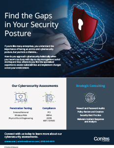 Cybersecurity Assessments